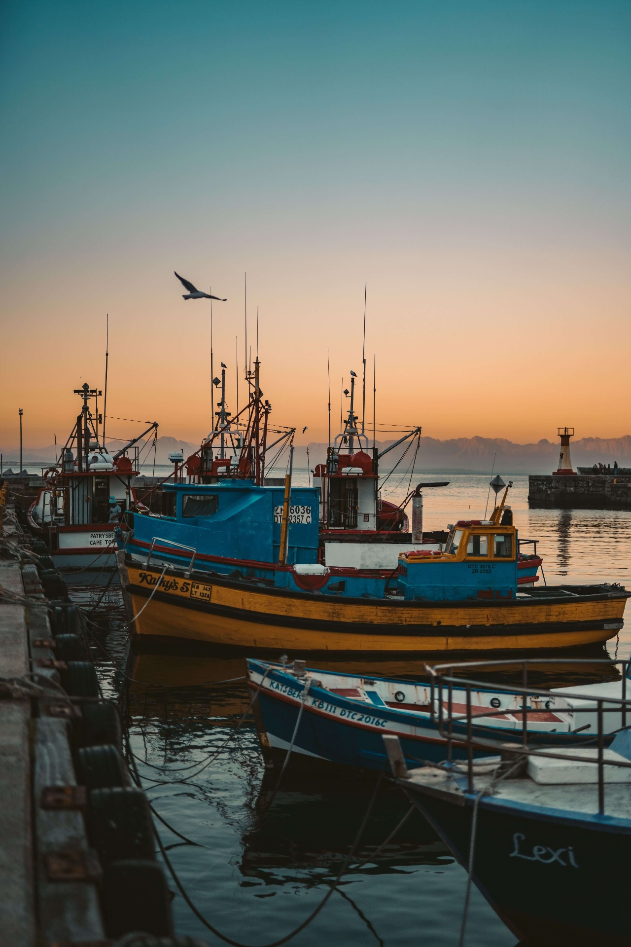 Kalk Bay & the False Bay Coast