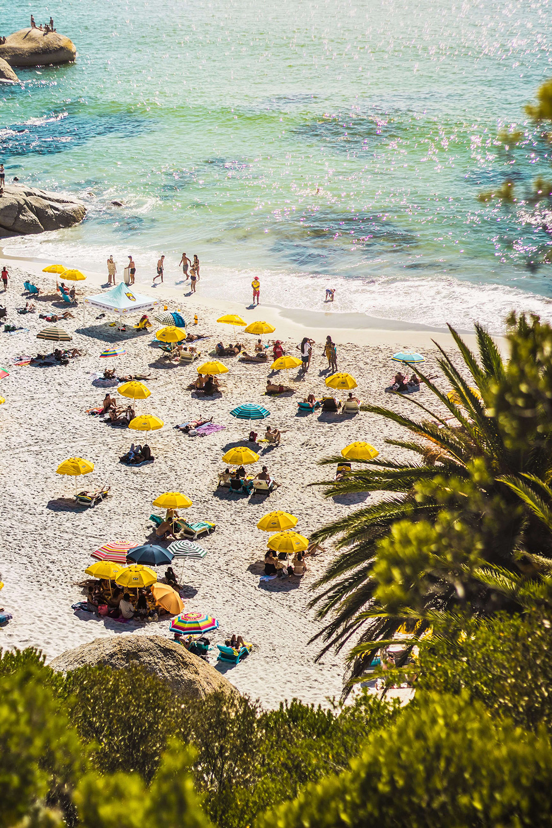 Clifton, Camps Bay & Boulder's Beach
